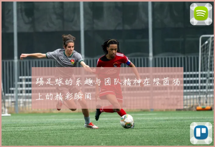 踢足球的乐趣与团队精神在绿茵场上的精彩瞬间