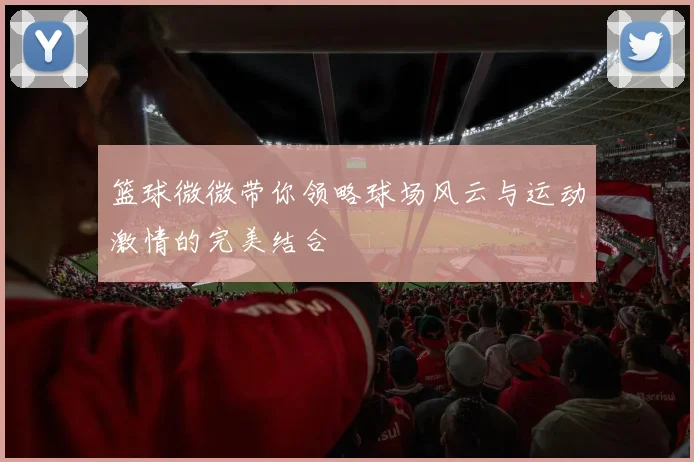 篮球微微带你领略球场风云与运动激情的完美结合