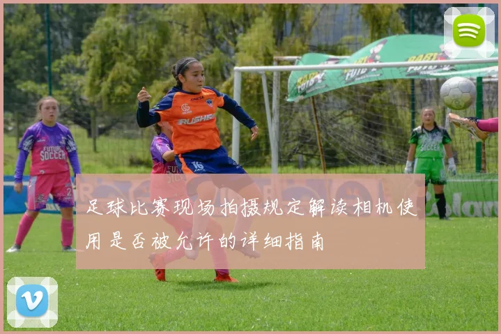 足球比赛现场拍摄规定解读相机使用是否被允许的详细指南