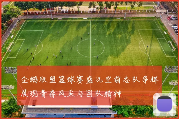 企鹅联盟篮球赛盛况空前各队争辉展现青春风采与团队精神