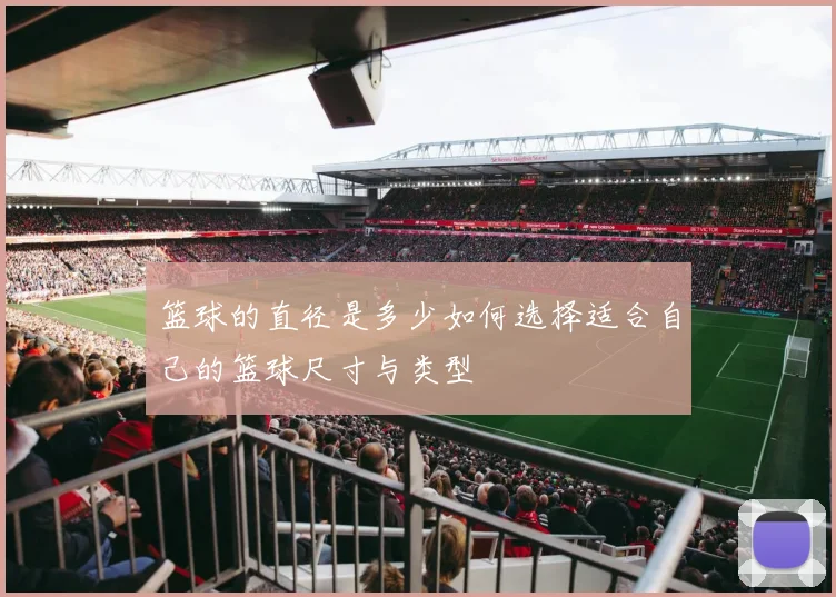 篮球的直径是多少如何选择适合自己的篮球尺寸与类型