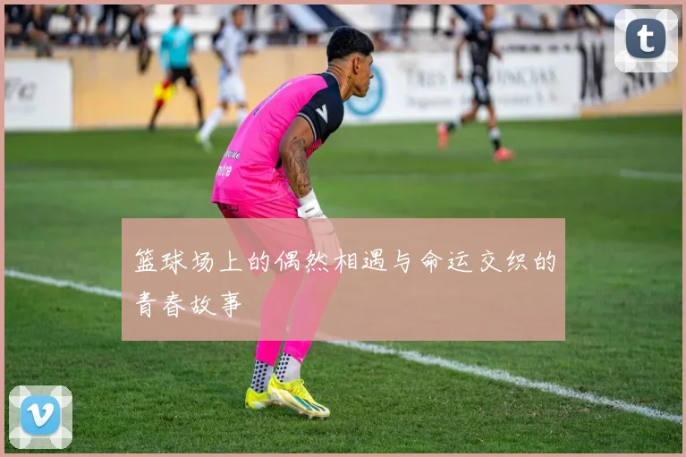 篮球场上的偶然相遇与命运交织的青春故事