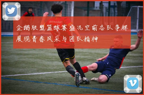 企鹅联盟篮球赛盛况空前各队争辉展现青春风采与团队精神